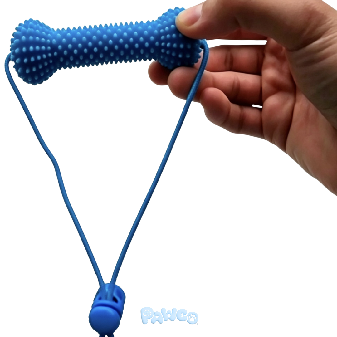 Pupchew 펍츄