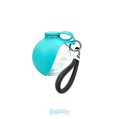 WalkDrop 워크드롭
