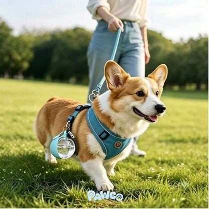 WalkDrop 워크드롭