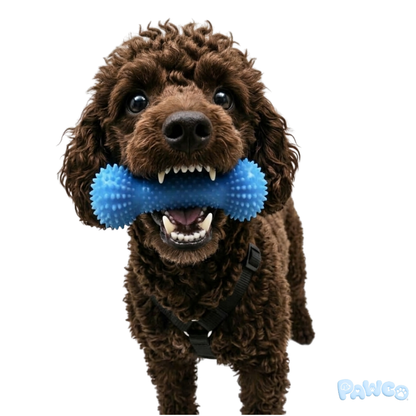 Pupchew 펍츄